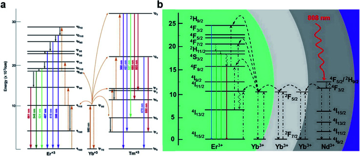 Fig. 1