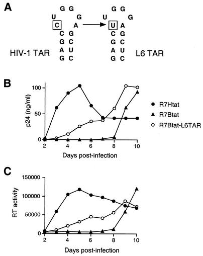 FIG. 6.