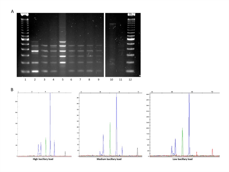 Fig 4