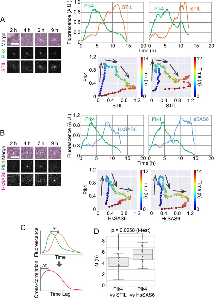 Fig. 2.