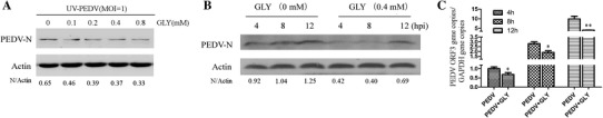 Fig. 2