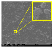 graphic file with name nanomaterials-11-00637-i010.jpg