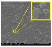 graphic file with name nanomaterials-11-00637-i013.jpg