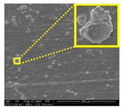 graphic file with name nanomaterials-11-00637-i016.jpg