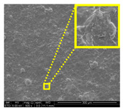 graphic file with name nanomaterials-11-00637-i034.jpg