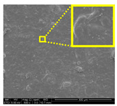 graphic file with name nanomaterials-11-00637-i025.jpg