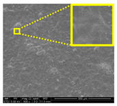 graphic file with name nanomaterials-11-00637-i019.jpg