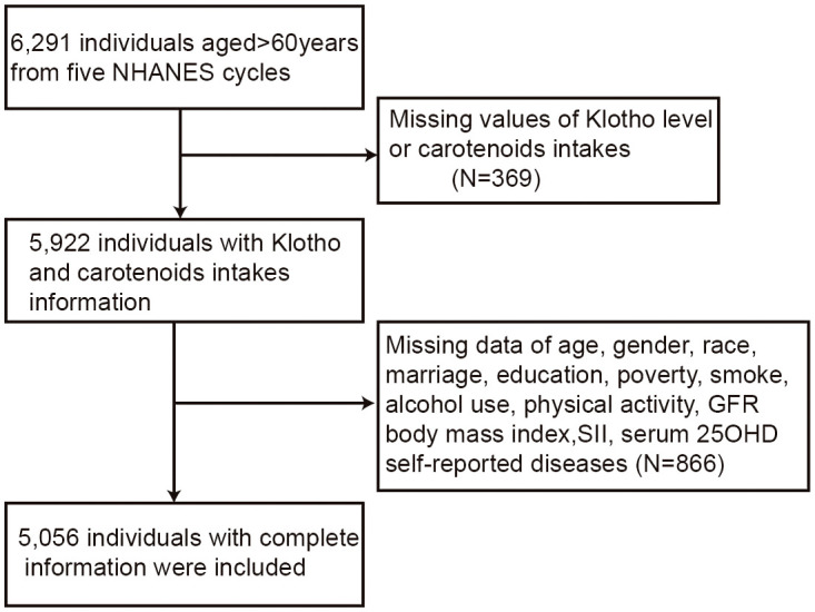 Figure 1