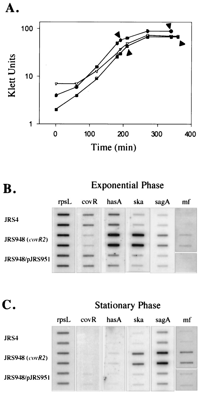 FIG. 3