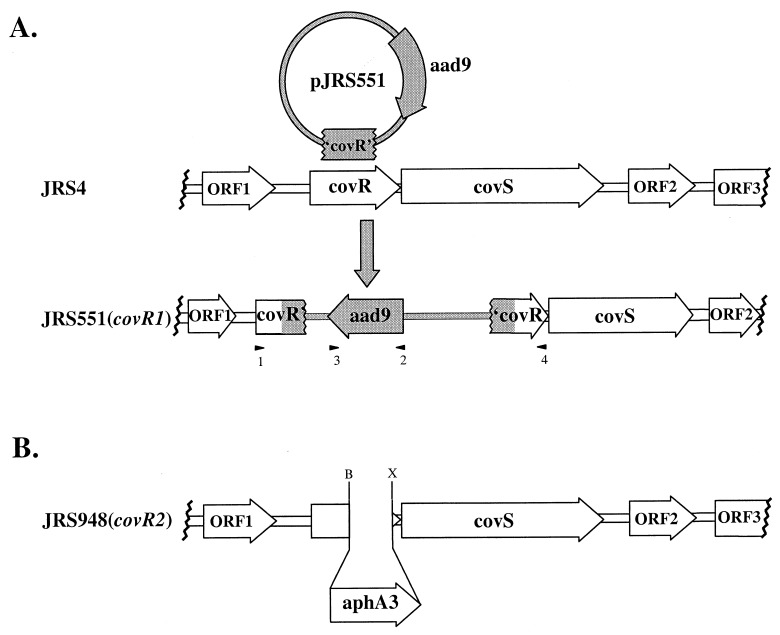 FIG. 1