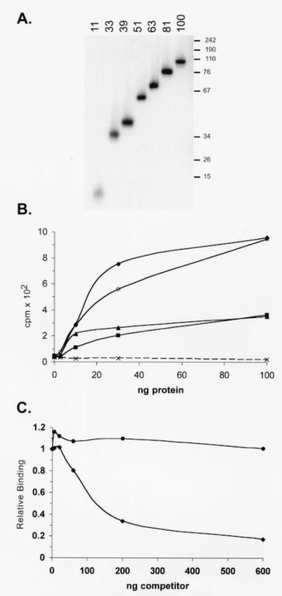 FIG. 8.