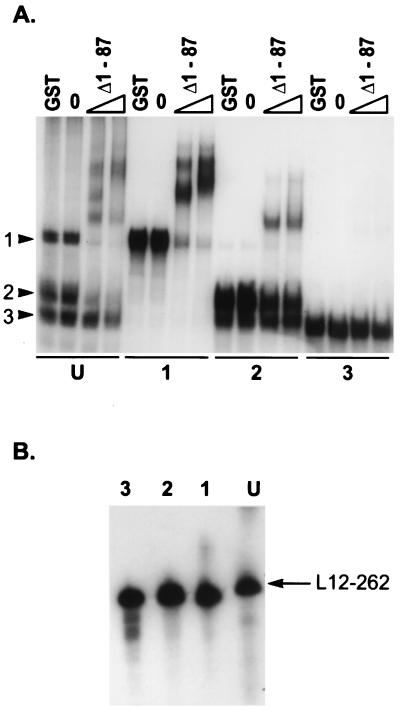 FIG. 5.