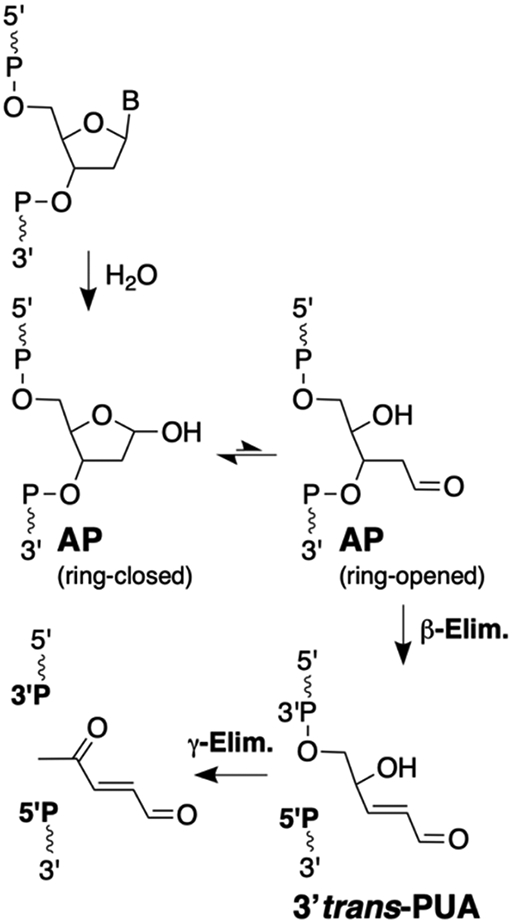 Scheme 1.