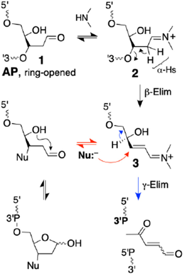 Scheme 3.