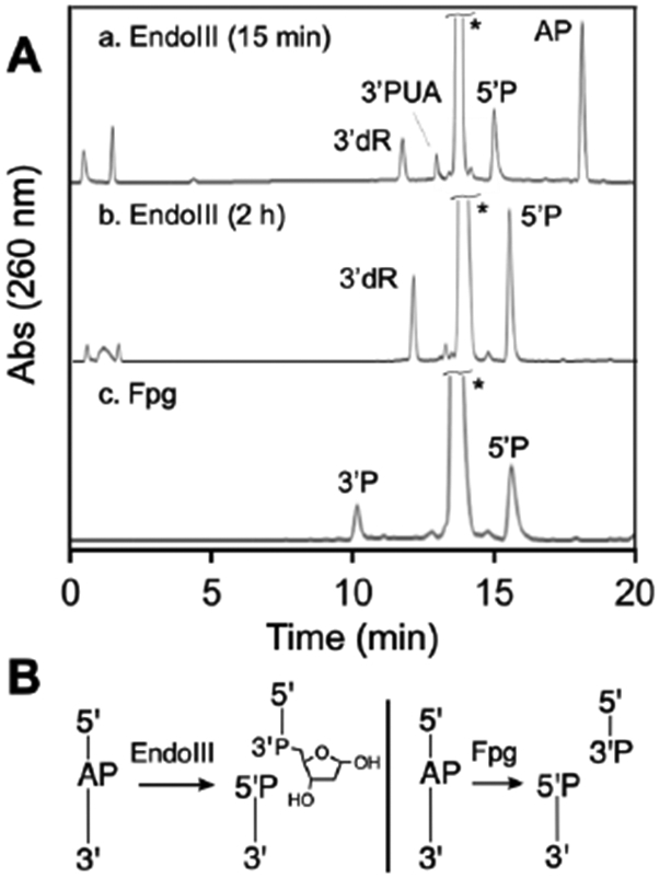 Figure 11.