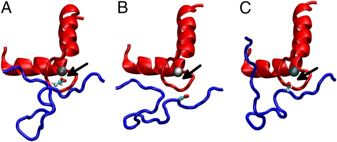 Fig. 9.