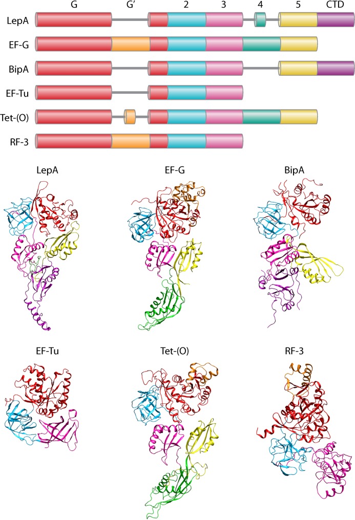 FIG 1