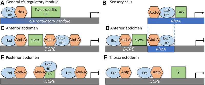 FIGURE 3