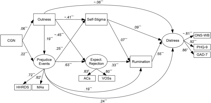 Fig. 4