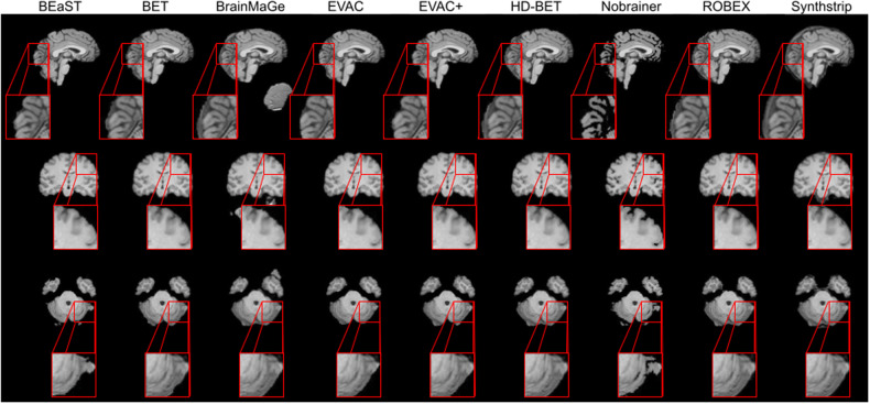 Fig. 6