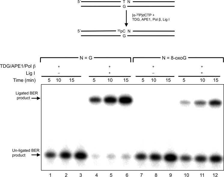 FIGURE 7.