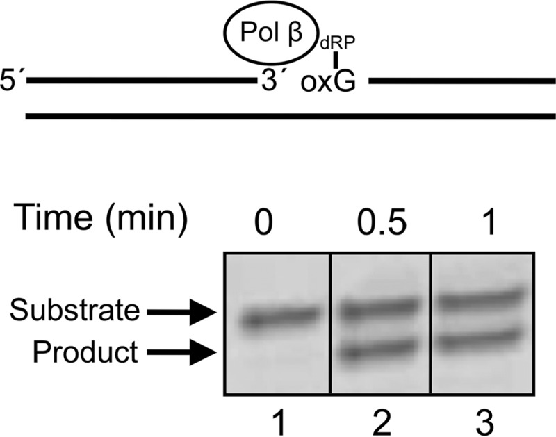 FIGURE 9.