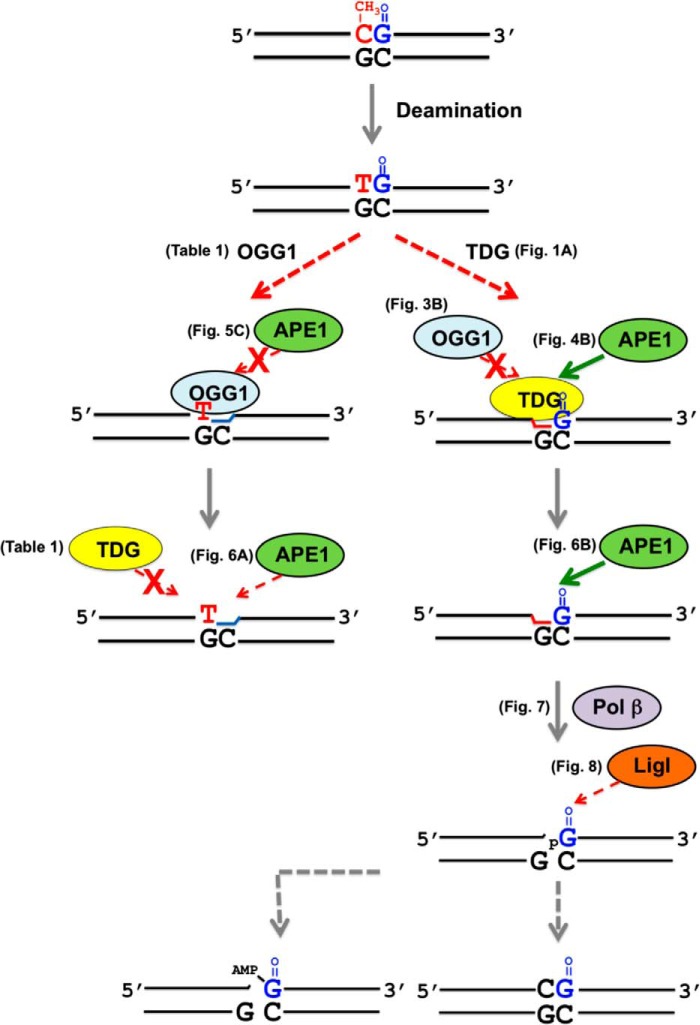 FIGURE 10.