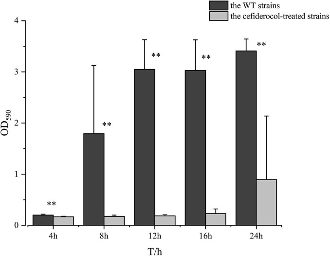 FIGURE 3