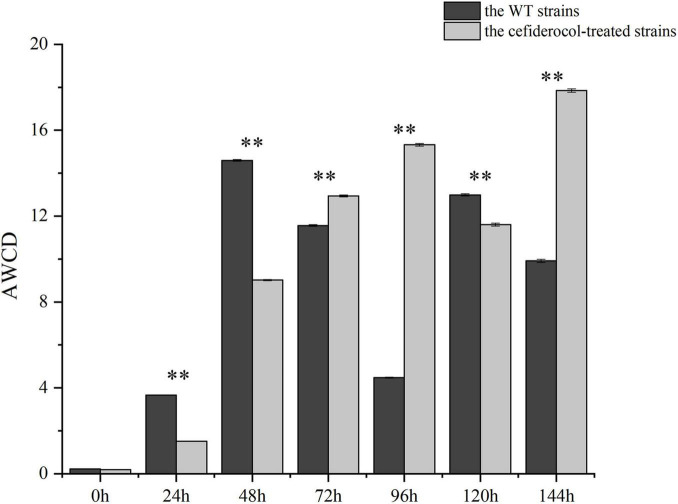 FIGURE 4