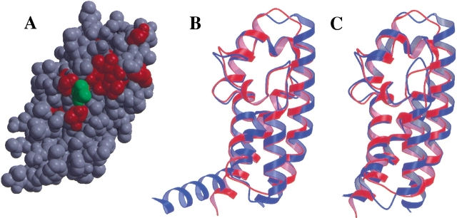 Fig. 3.