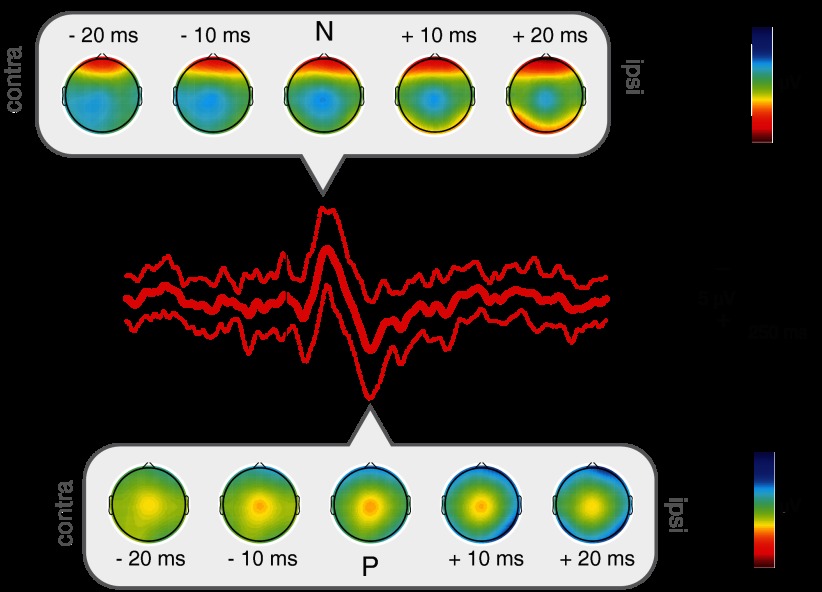 Fig. 4.