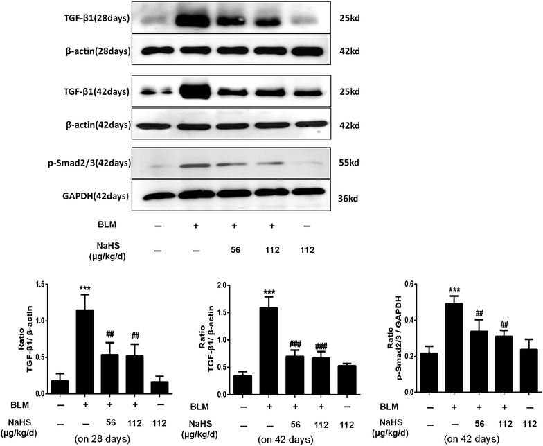 Fig. 10