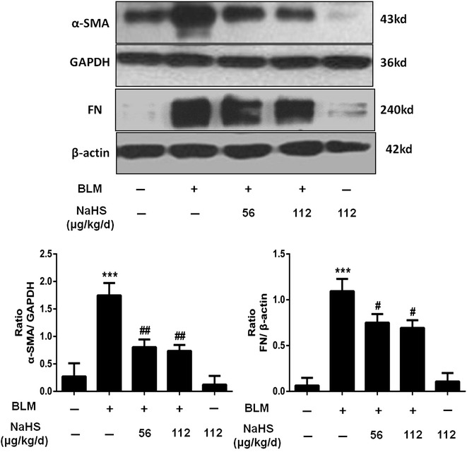 Fig. 7