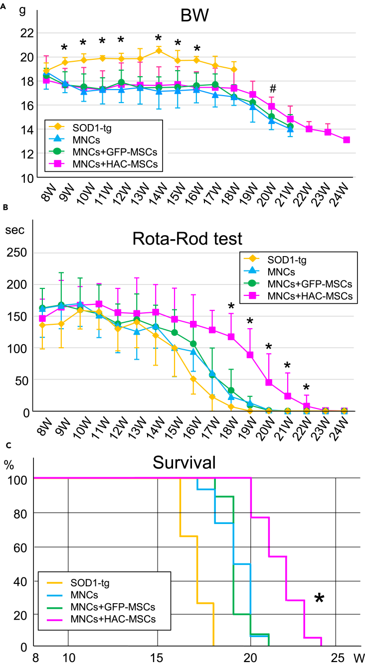 Figure 2