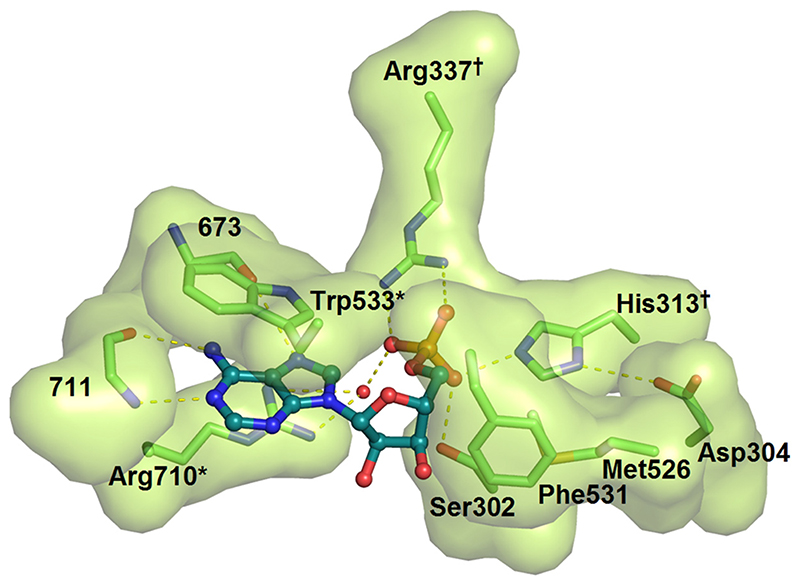 Figure 5