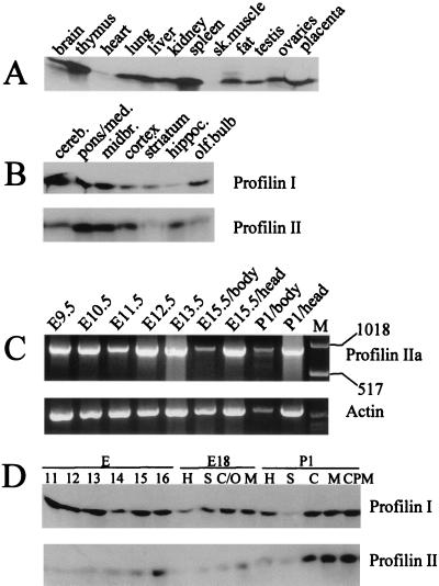 FIG. 8