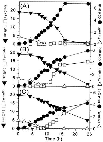 FIG. 2.