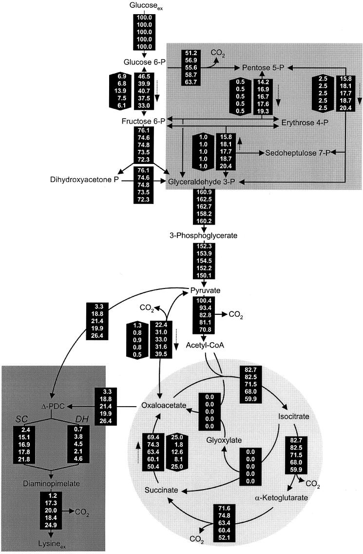 FIG.3.