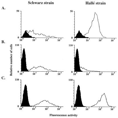 FIG. 3