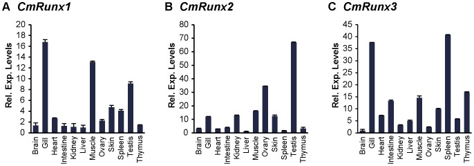 Figure 5