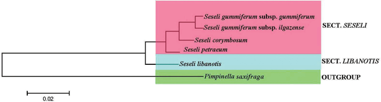 Figure 6.