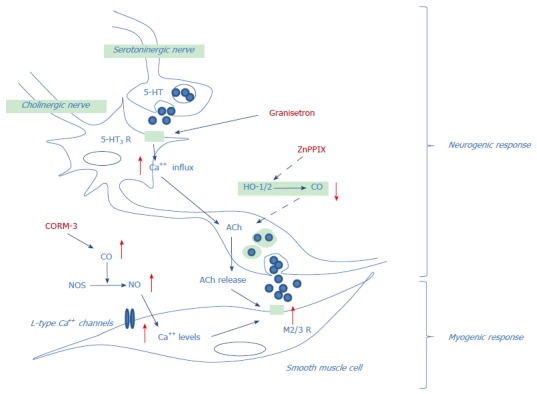 Figure 10