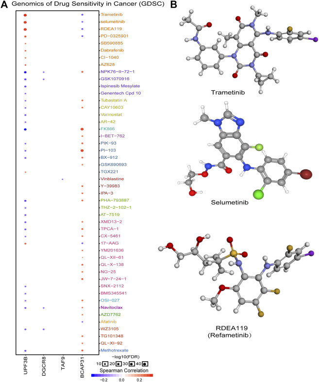 FIGURE 7