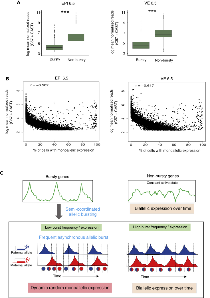 Figure 6