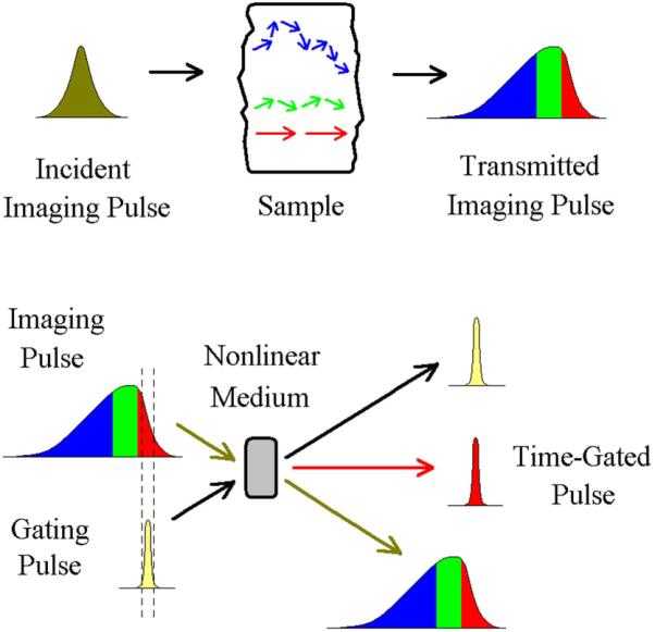 Figure 26