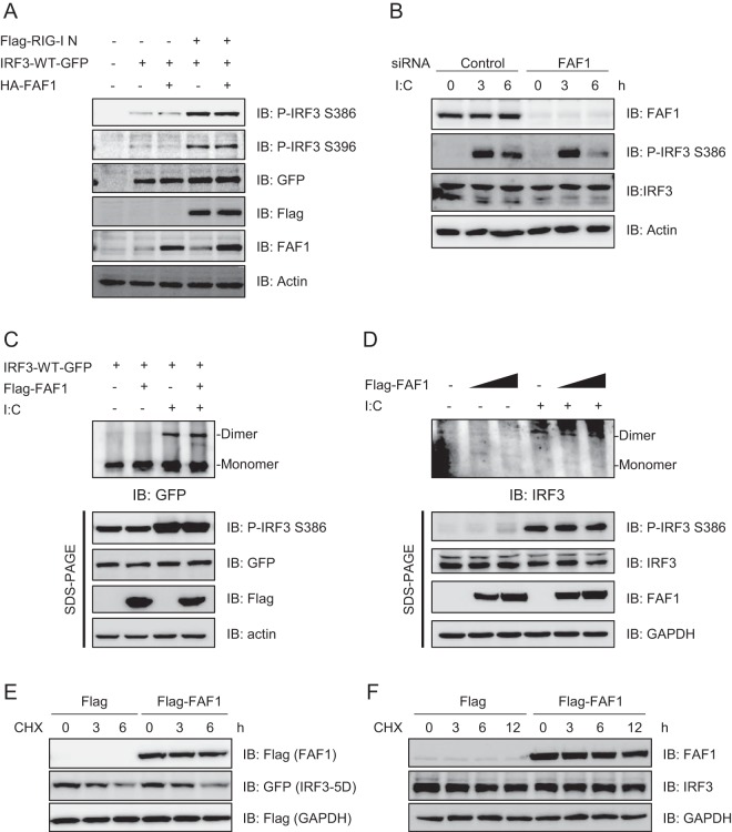 FIG 6