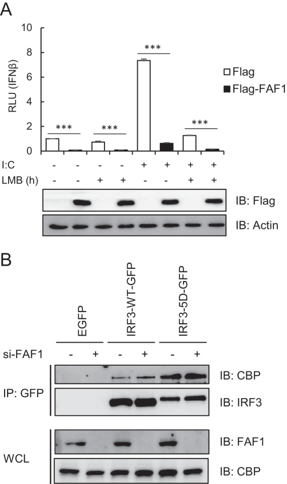 FIG 9