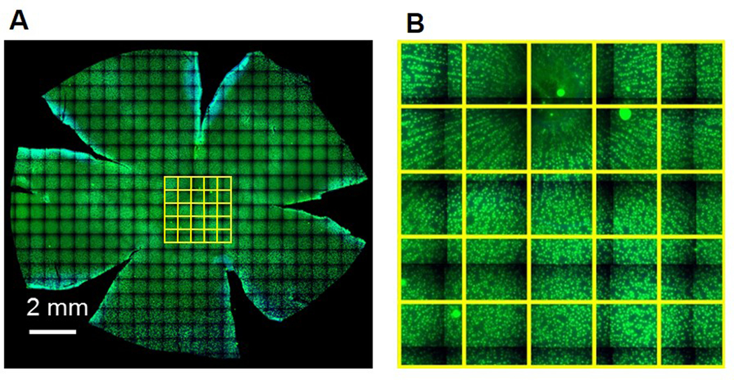 Figure 2.