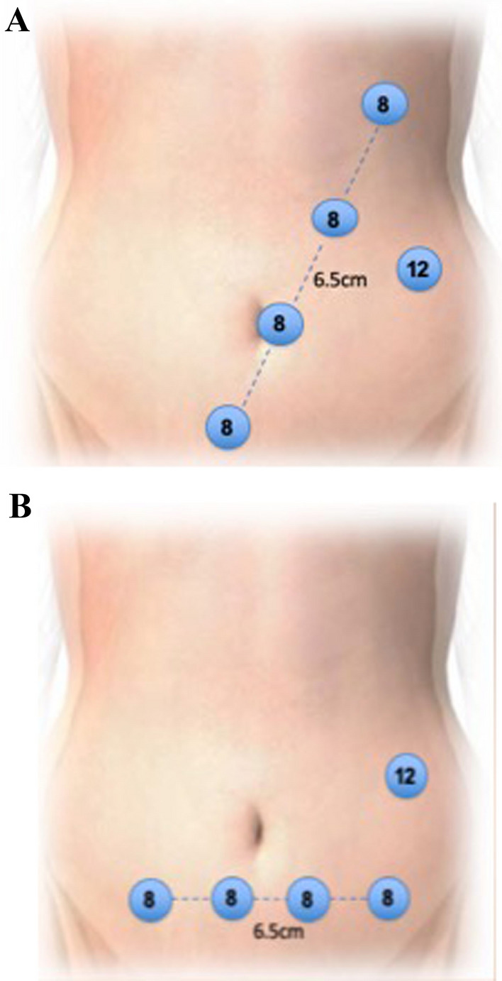 Fig. 1