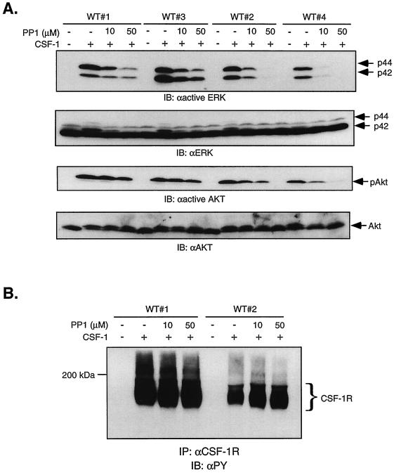 FIG. 10